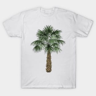 Palmetto Tree T-Shirt